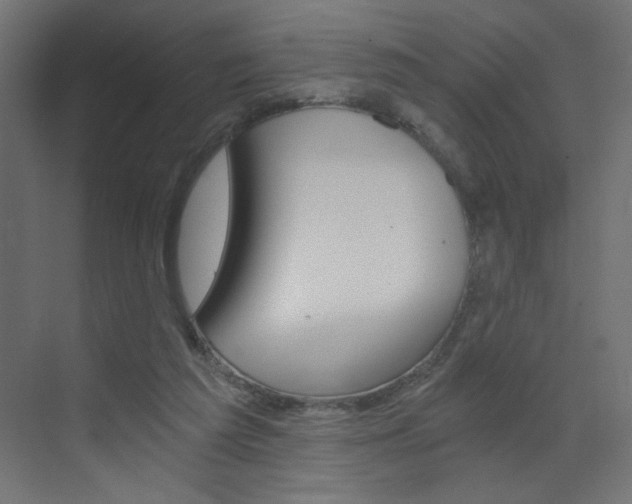 X0000072960209200607211013