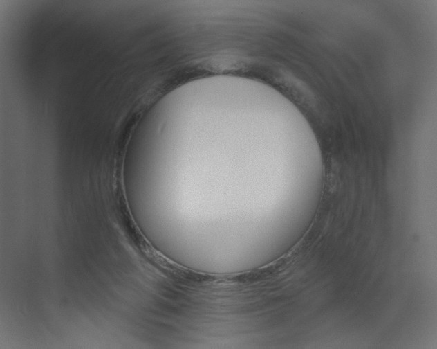 X0000072960210200607211013