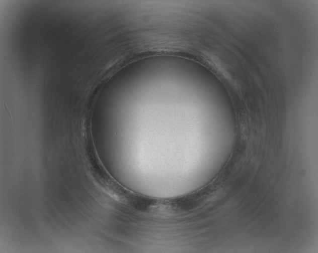 X0000072960211200607211013