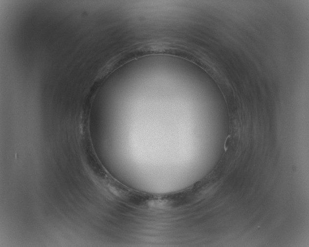 X0000072960216200607211013