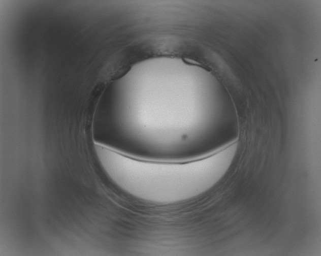 X0000072960217200607211013