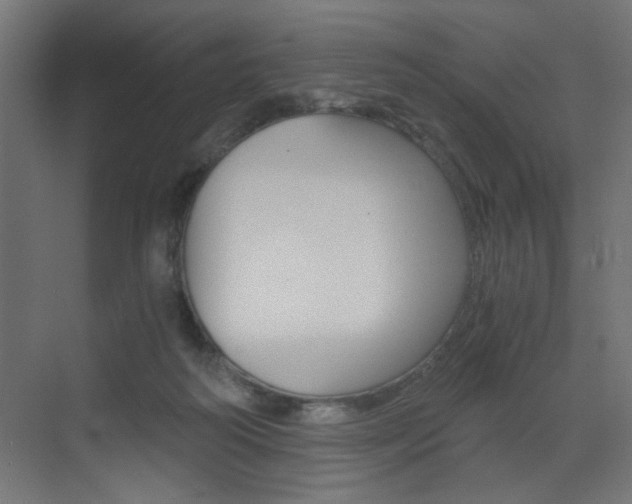 X0000072960218200607211013