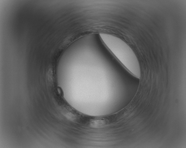 X0000072960220200607211013
