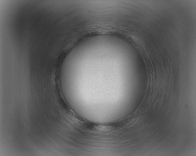 X0000072960221200607211013