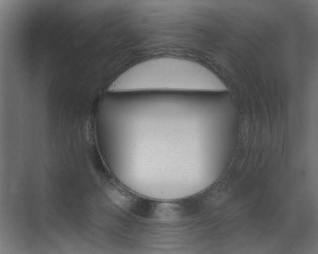 X0000072960222200607211013