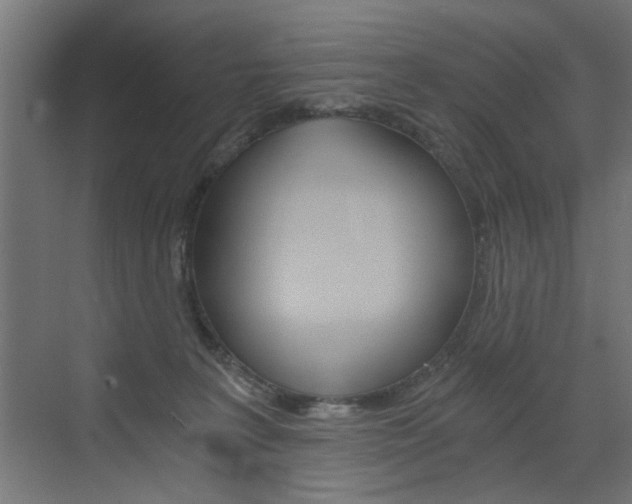 X0000072960227200607211013