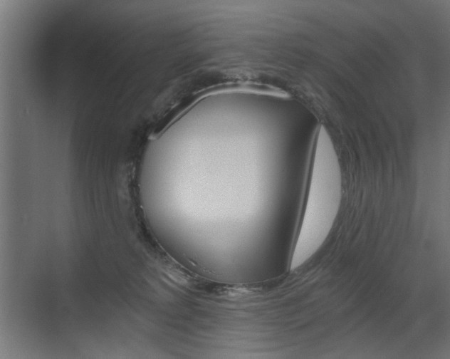 X0000072960229200607211013