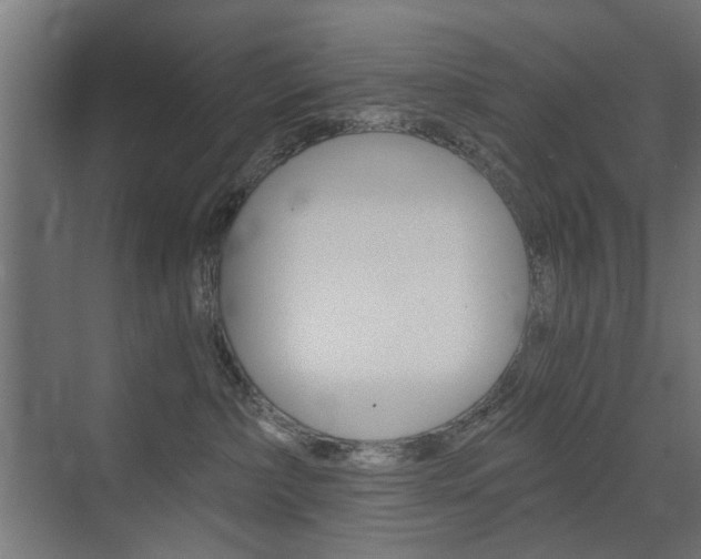 X0000072960236200607211012