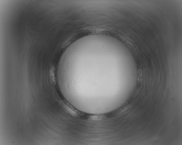 X0000072960238200607211012
