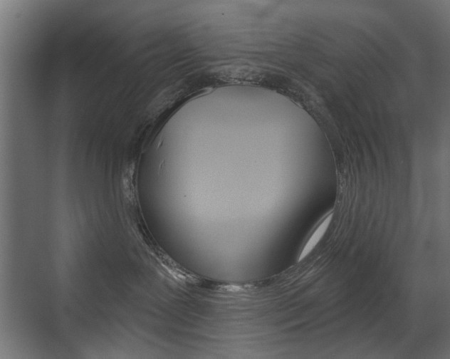 X0000072960239200607211012