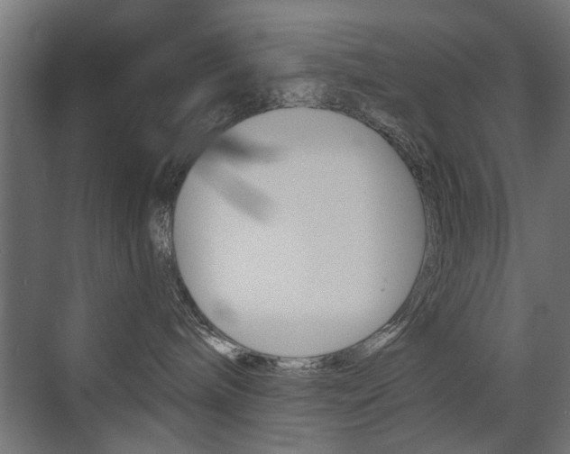 X0000072960240200607211012