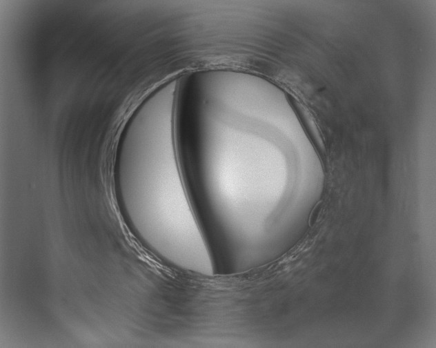 X0000072960241200607211012