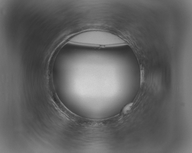 X0000072960243200607211012