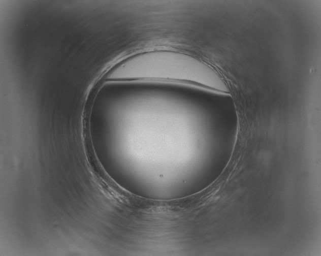 X0000072960244200607211012