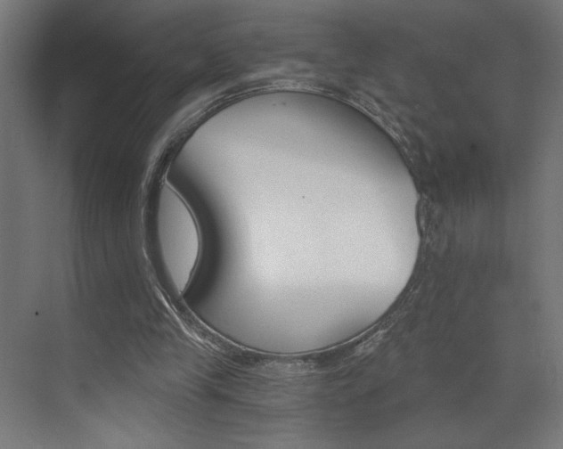 X0000072960245200607211012