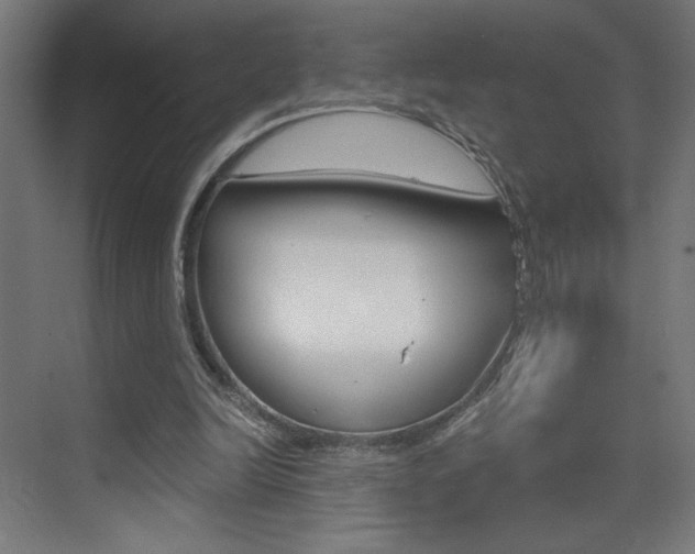 X0000072960246200607211012
