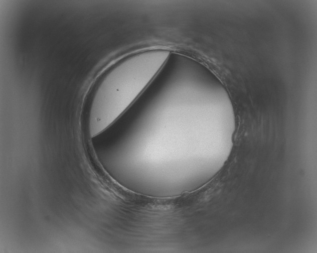 X0000072960247200607211012