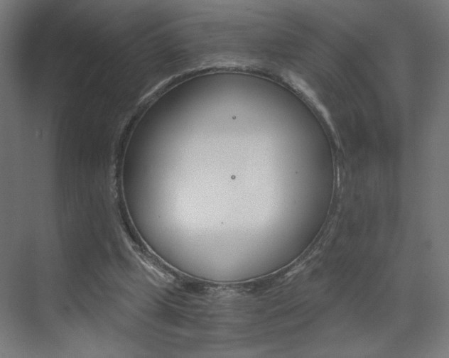 X0000072960249200607211012