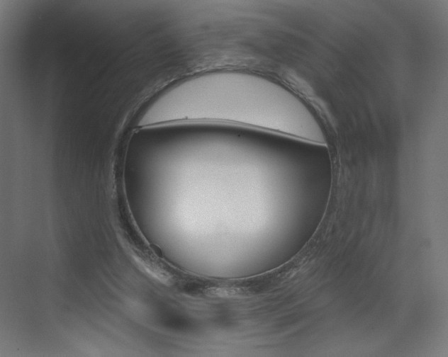 X0000072960250200607211012