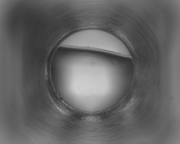 X0000072960251200607211012
