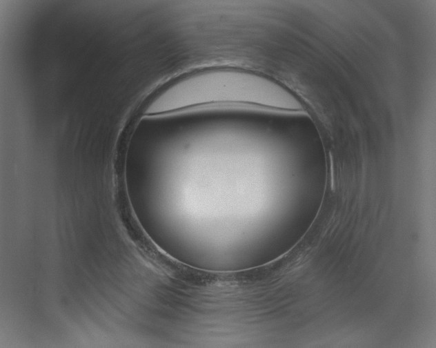 X0000072960252200607211012