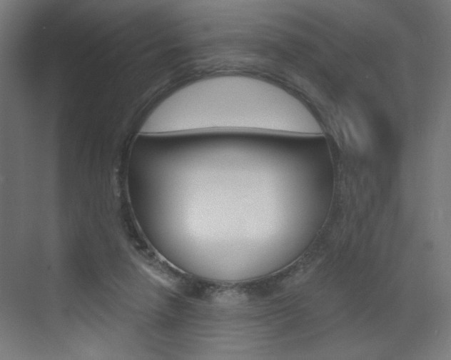 X0000072960258200607211012
