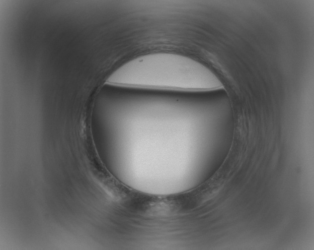 X0000072960259200607211012
