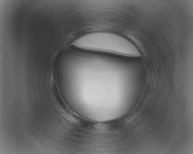 X0000072960261200607211012