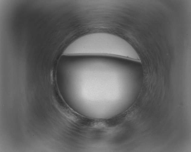 X0000072960262200607211012