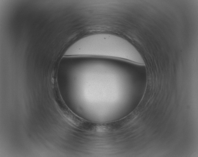 X0000072960264200607211012