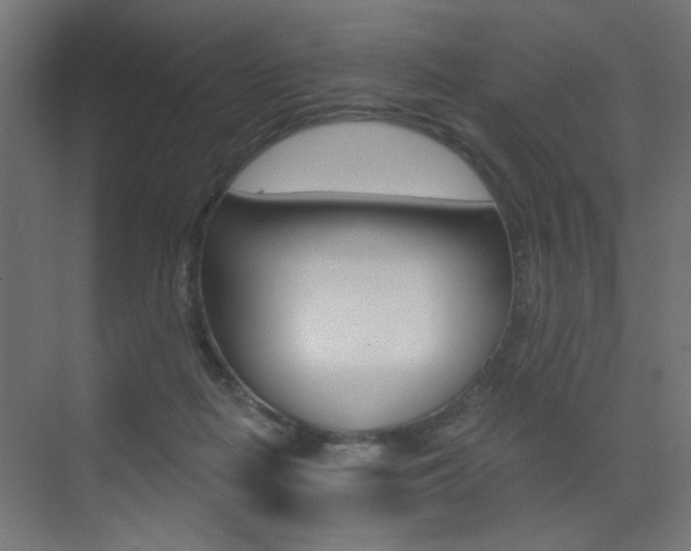 X0000072960266200607211012