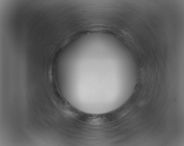 X0000072960267200607211012