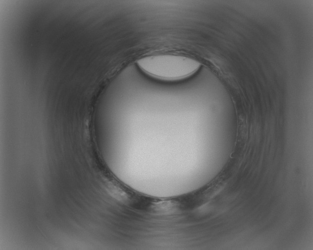 X0000072960269200607211012