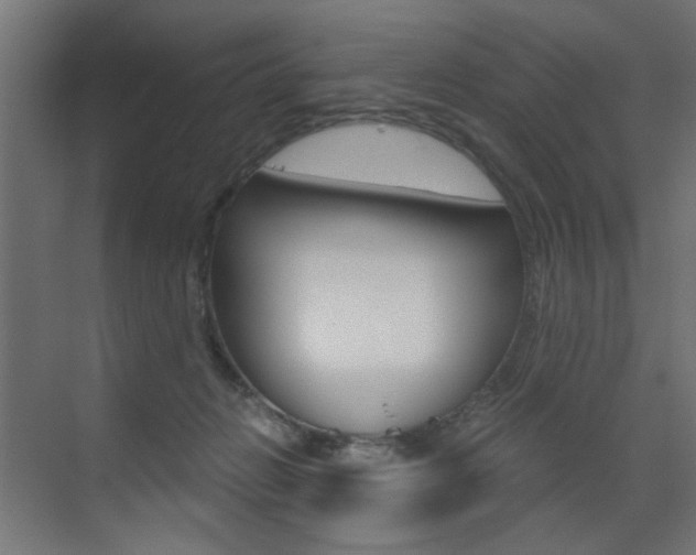 X0000072960270200607211012