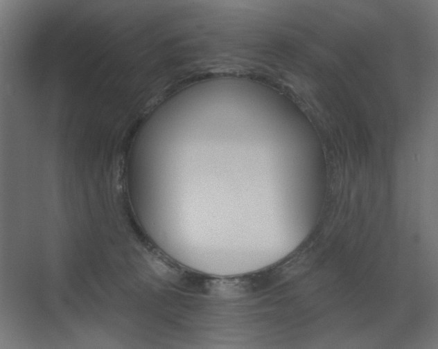 X0000072960273200607211012