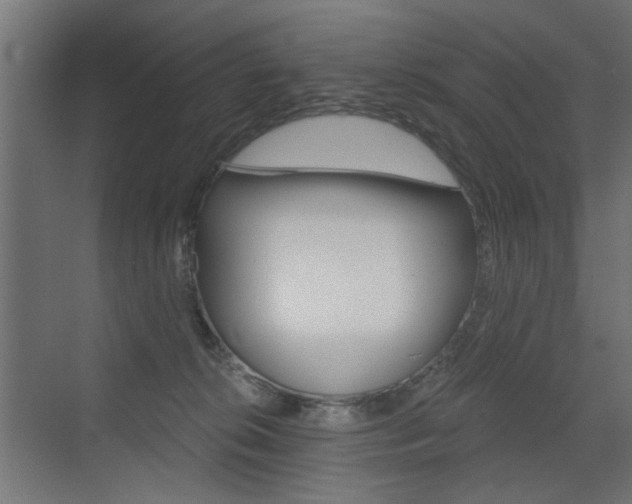 X0000072960276200607211012