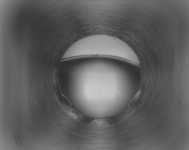 X0000072960280200607211012