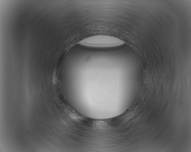 X0000072960287200607211012