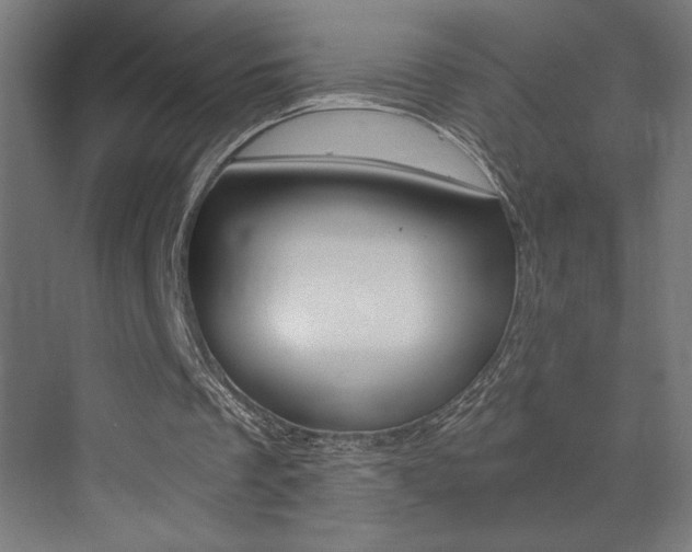 X0000072960289200607211012