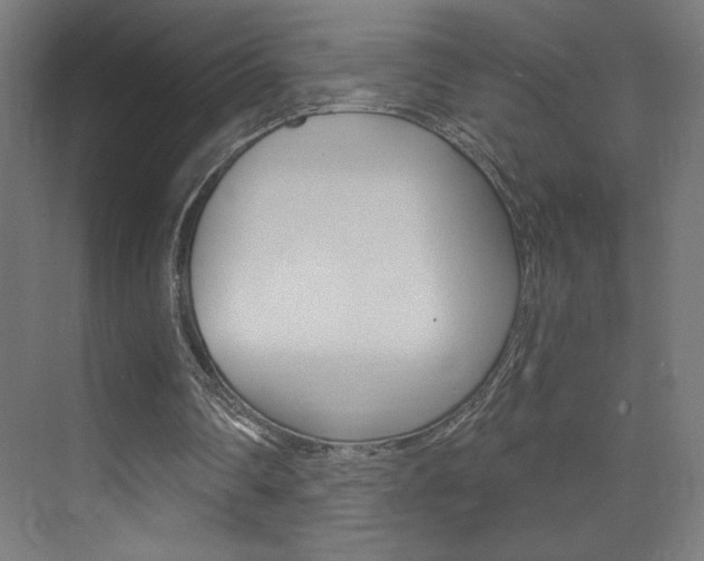 X0000072960290200607211012
