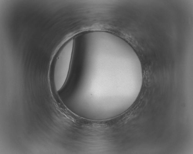 X0000072960292200607211012