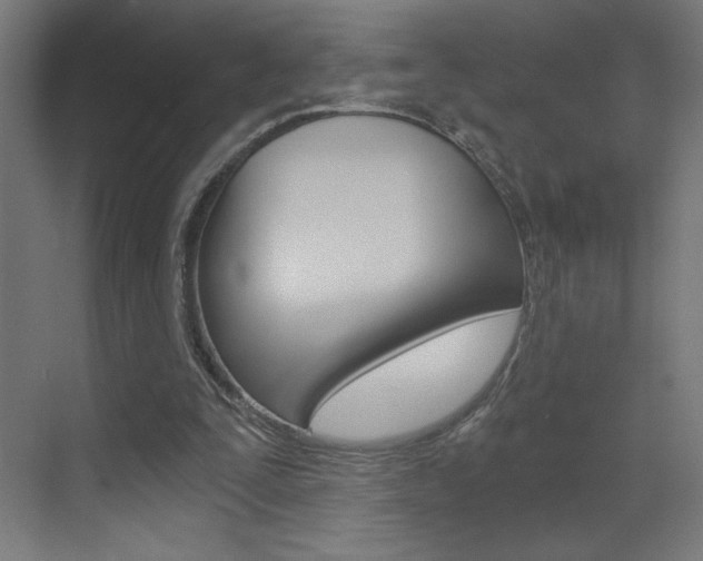 X0000072960295200607211011