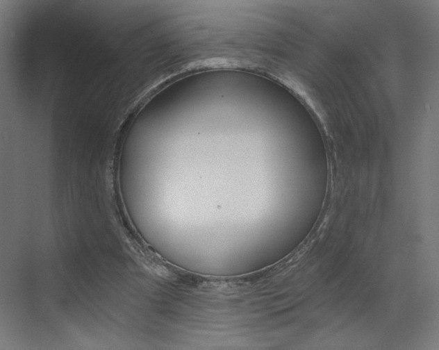 X0000072960297200607211011