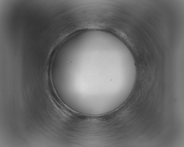 X0000072960299200607211011