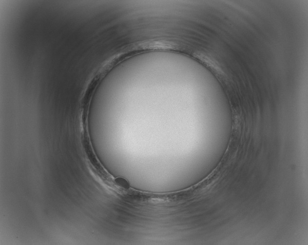 X0000072960302200607211011