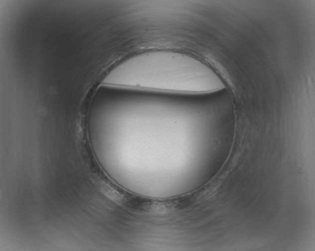 X0000072960305200607211011