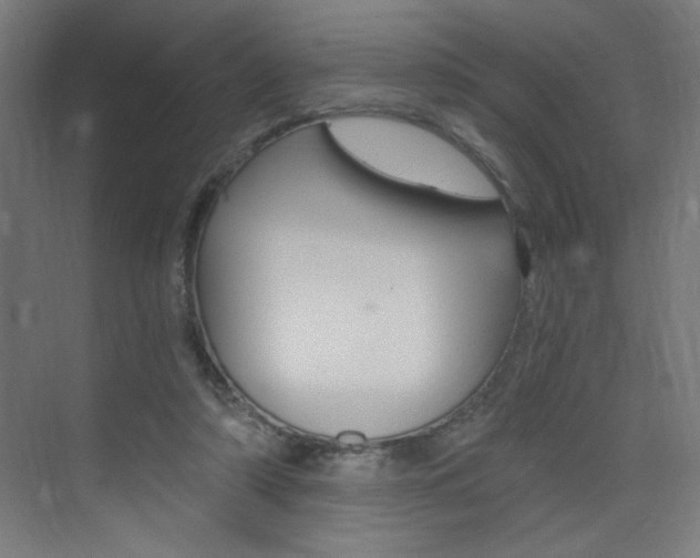 X0000072960306200607211011