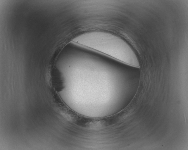 X0000072960307200607211011