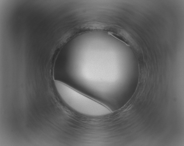 X0000072960309200607211011