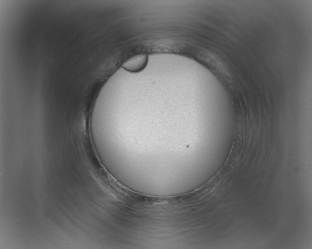 X0000072960310200607211011